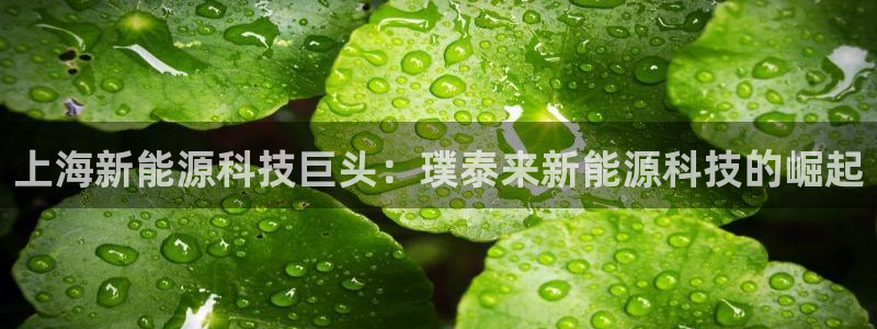 sunbet安卓下载