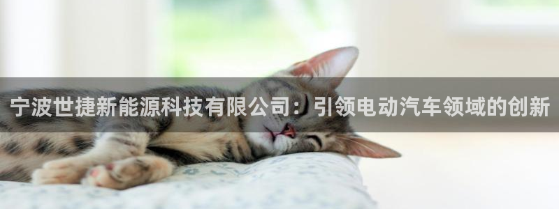 sunbet手机网页版