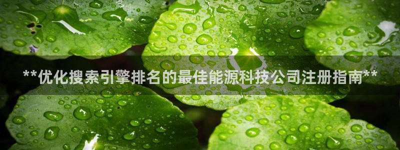 sunbet安卓下载