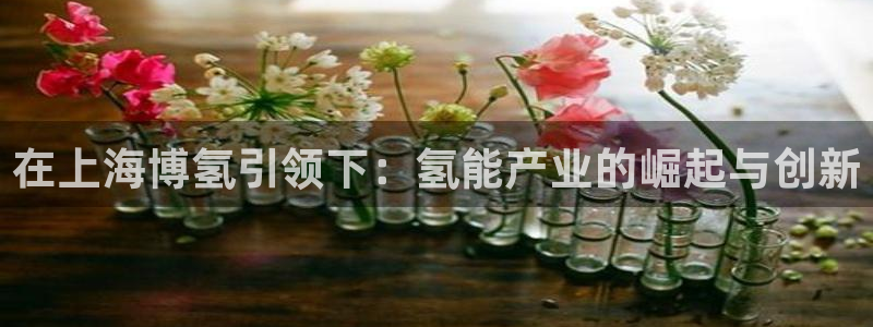 sunbet手机版官网下载