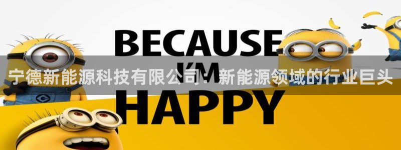 sunbet英语翻译