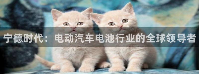 sunbet最新登陆
