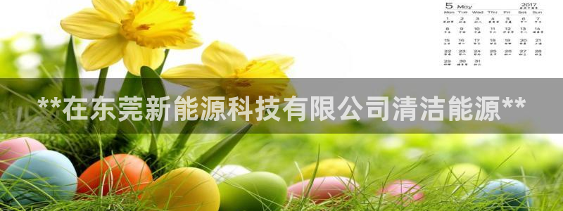 sunbet手机版官网下载