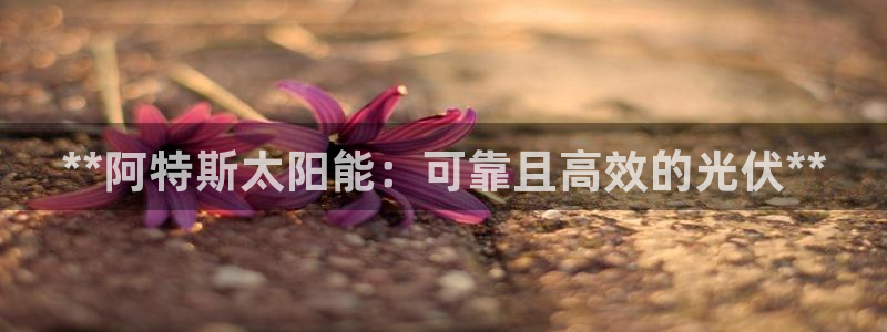 sunbet官网代理下载