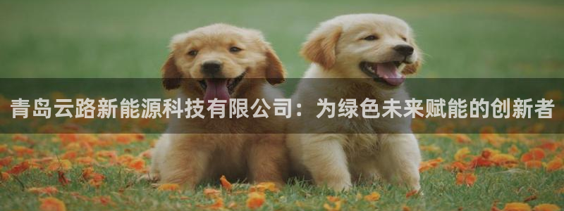 sunbet申搏官网