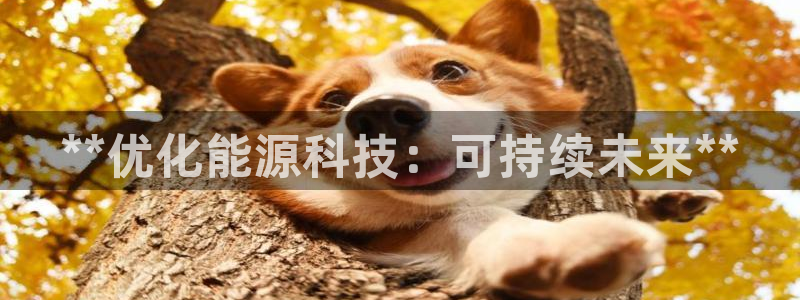 sunbething怎么读