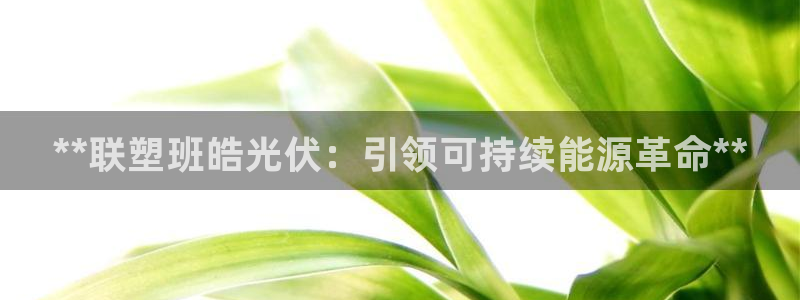sunbet申搏app下载