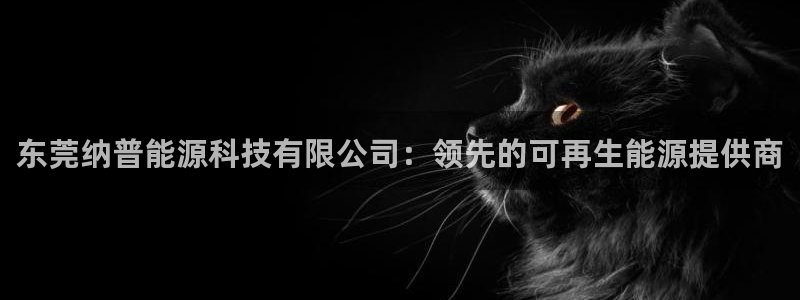 申博官方网站手机版下载