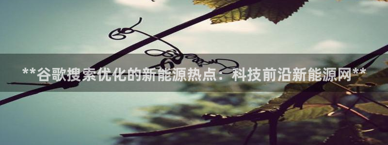 sunbet中文