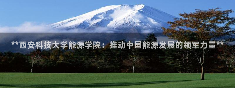 申博手机网站