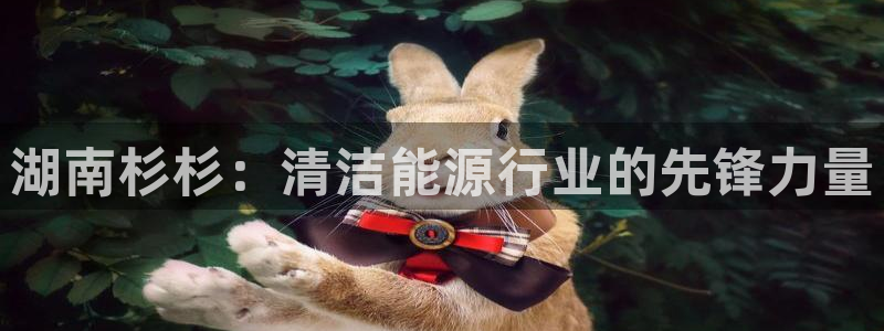 申博视讯