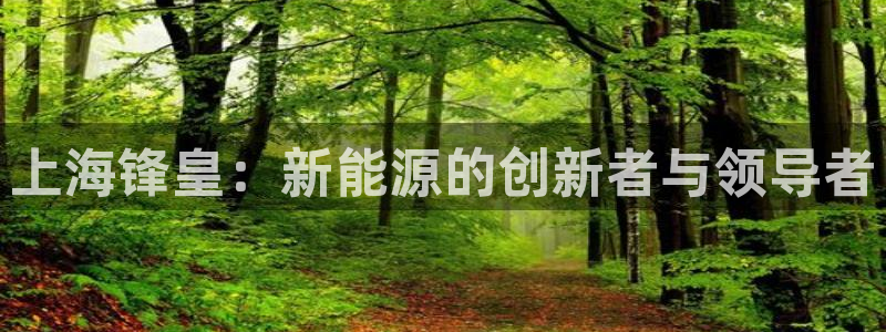 sunbet手机版官网下载