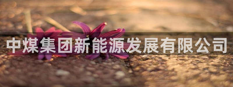 申博官方网站手机版下载