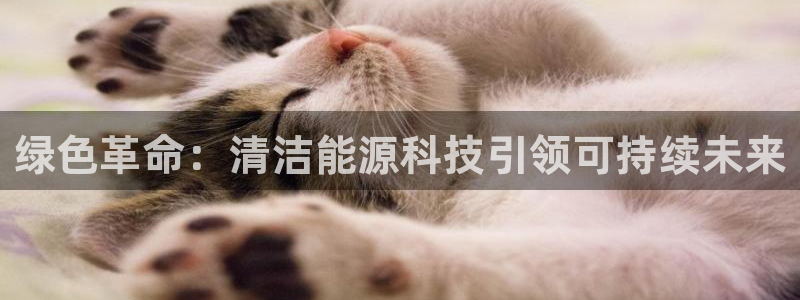sunbet官网代理下载