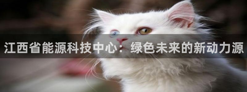 进入sunbet官网手机版登陆