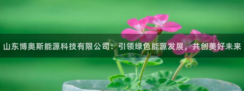 sunbet最新消息