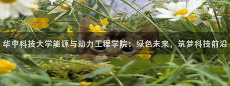 sunbet靠谱吗