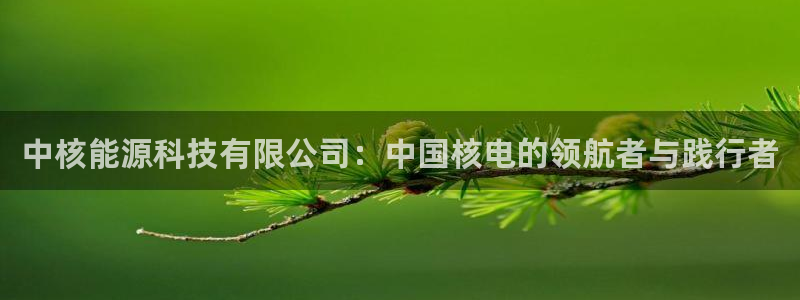 sunbet中文