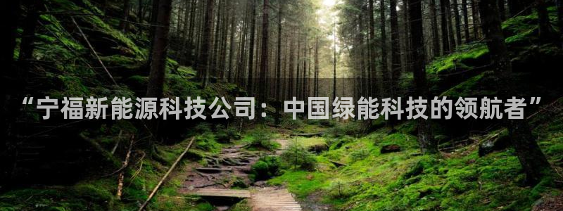 sunbet最新消息
