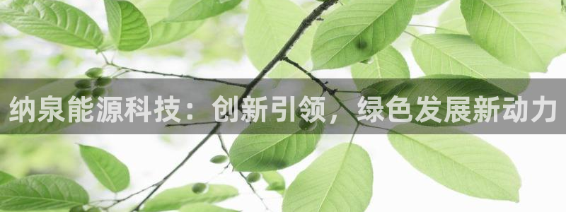 申慱sunbet版app
