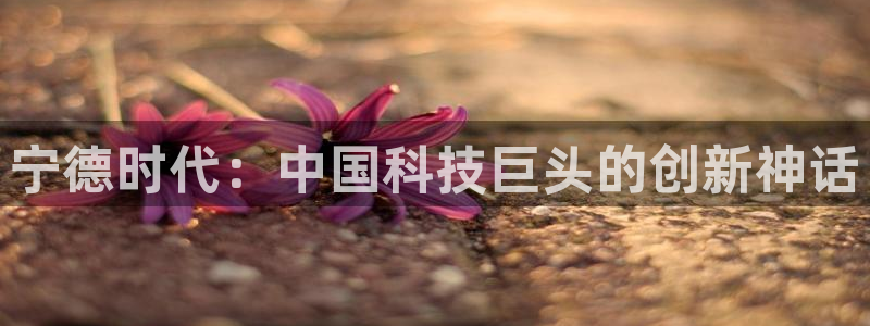 sunbet苹果app