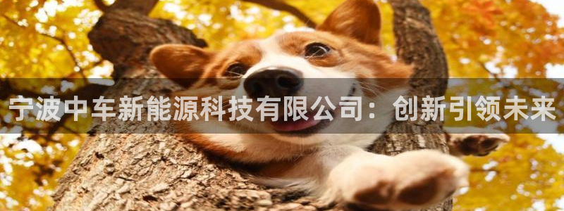 申慱sunbet版app