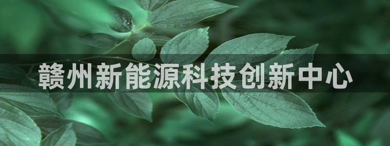 sunbet源码