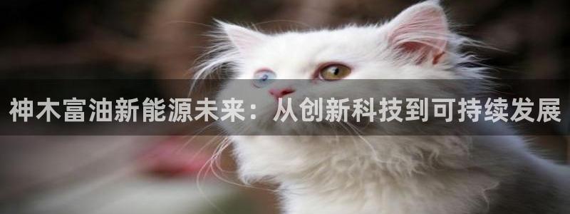 sunbet官网手机版