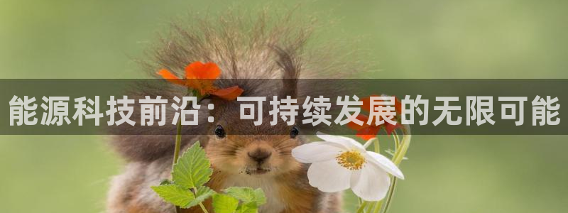 sunbet官网手机版登录