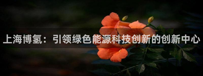 申博手机网站