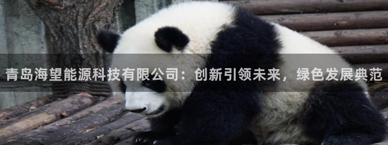 sunbet官网app首页