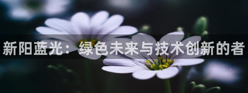 sunbet申搏平台