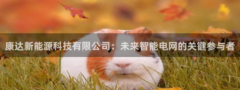 sunbet程序