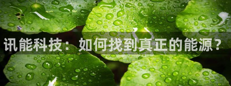 sunbet安卓下载