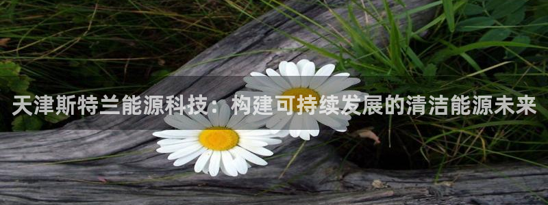 申慱sunbet网站