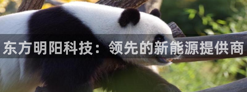 sunbet官网开户登录手机版