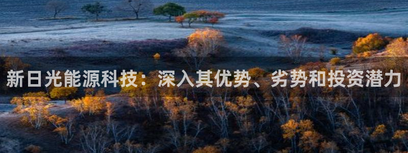 sunbet英语翻译