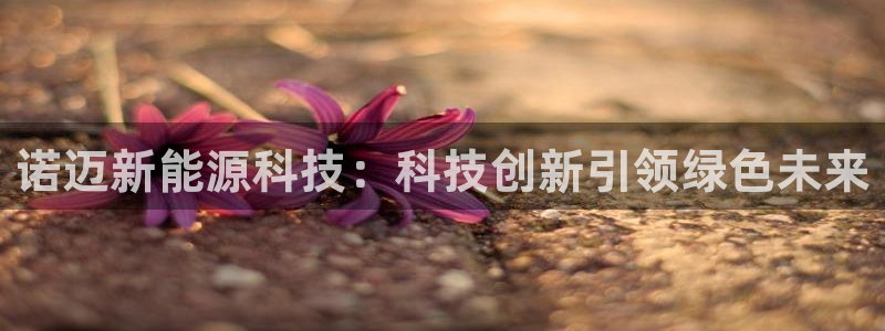 sunbet手机版官网下载