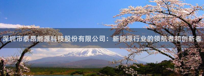 sunbet官网手机版登录