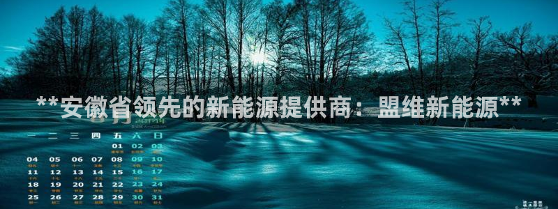 sunbet手机版官网下载