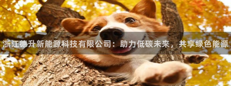 进入sunbet官网手机版登陆