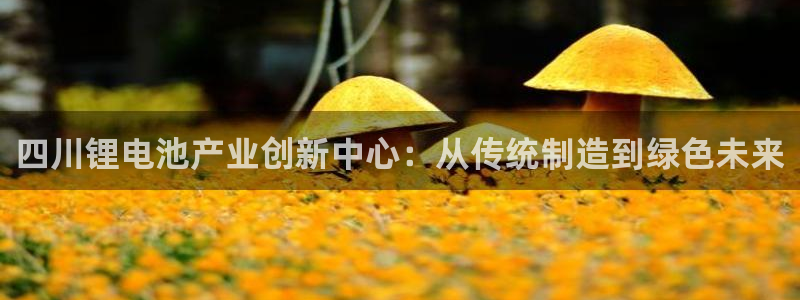 sunbet官网代理下载