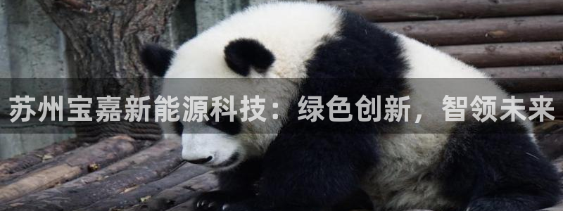 sunbet官网开户登录手机版