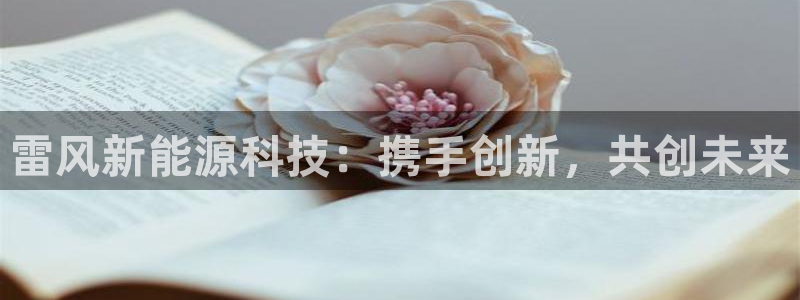 申博官方网站手机版下载