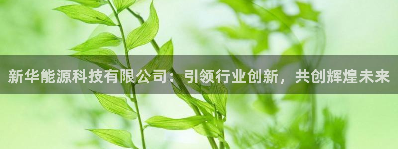 sunbet游戏地址