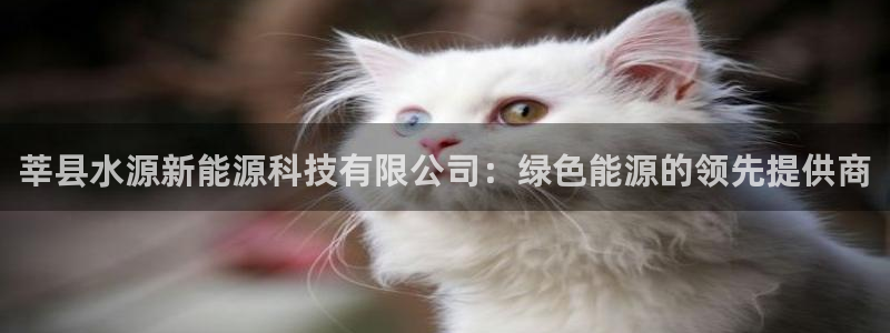 sunbet首页登录入口