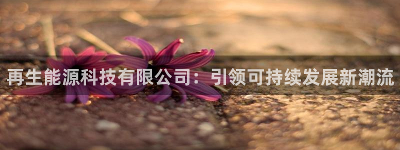 sunbet申搏平台